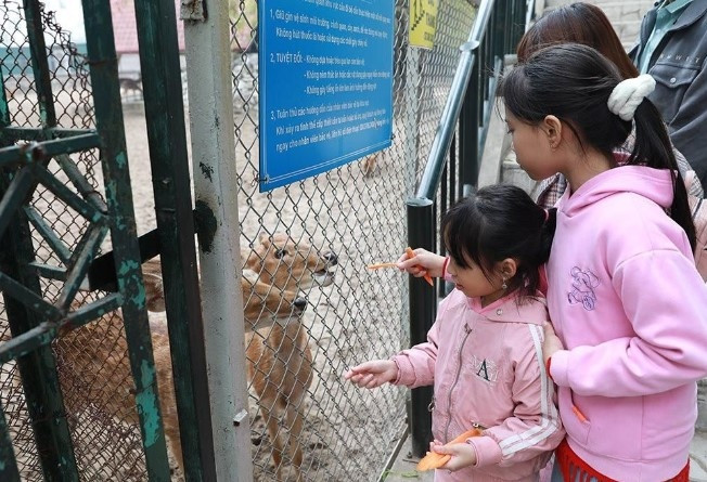 popular destinations in major cities crowded on first day of new year holiday picture 4