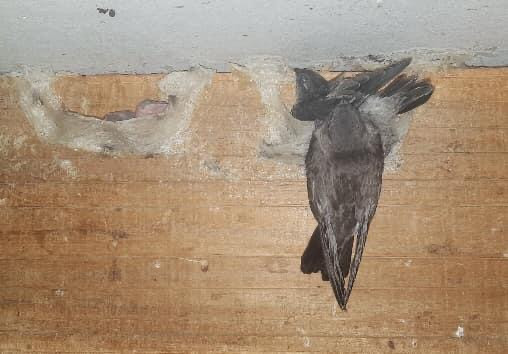 371533071 891266855661125 8571216652250014077 n.jpg