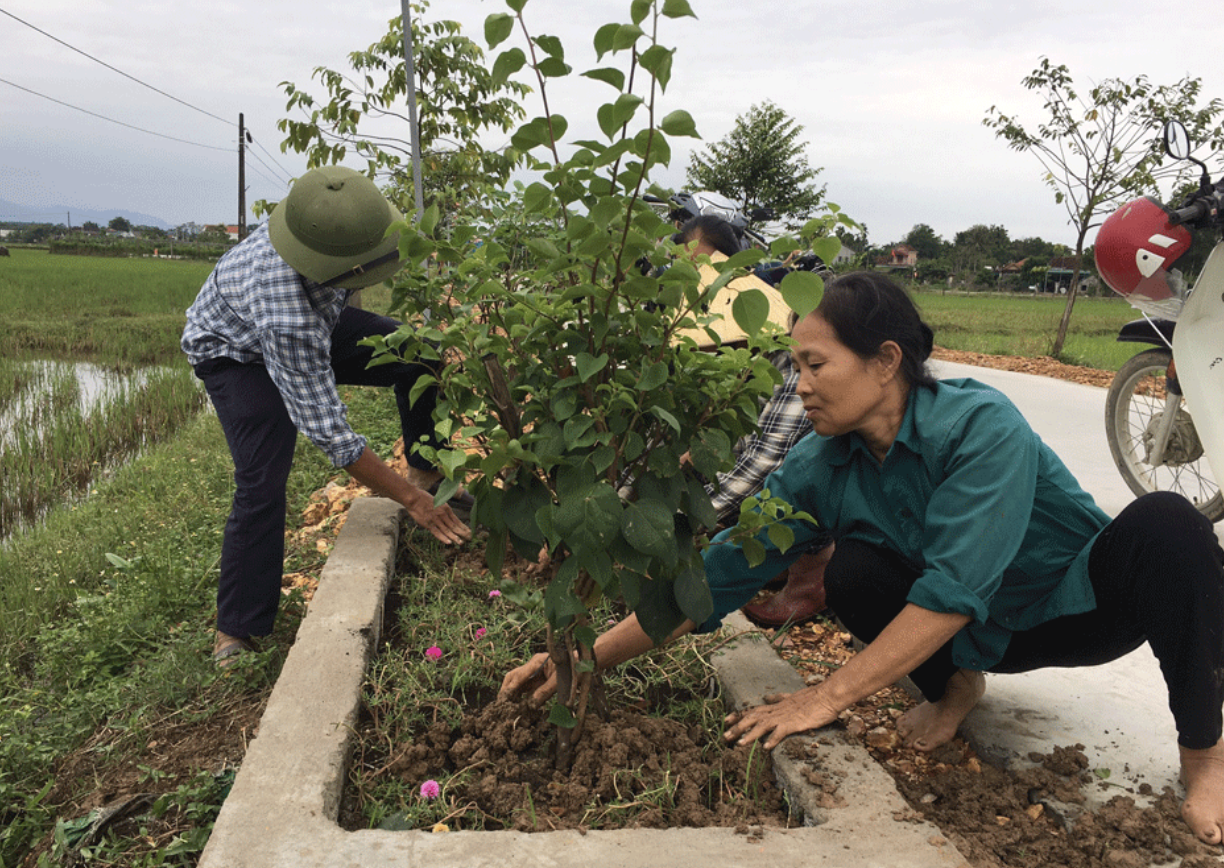 anh chup man hinh 2023 11 29 luc 092414.png