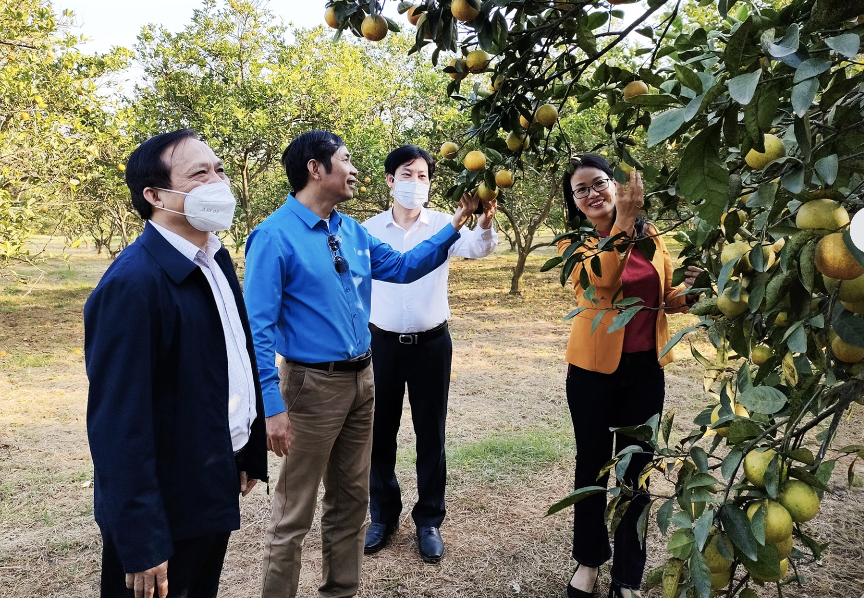 anh chup man hinh 2023 11 29 luc 135851.png