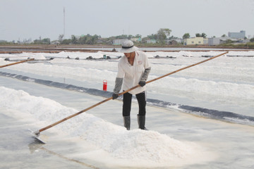 Bạc Liêu quy hoạch hơn 1.600ha làm muối