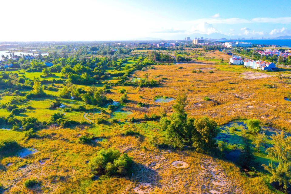﻿Grasslands transformed into canvas of colors