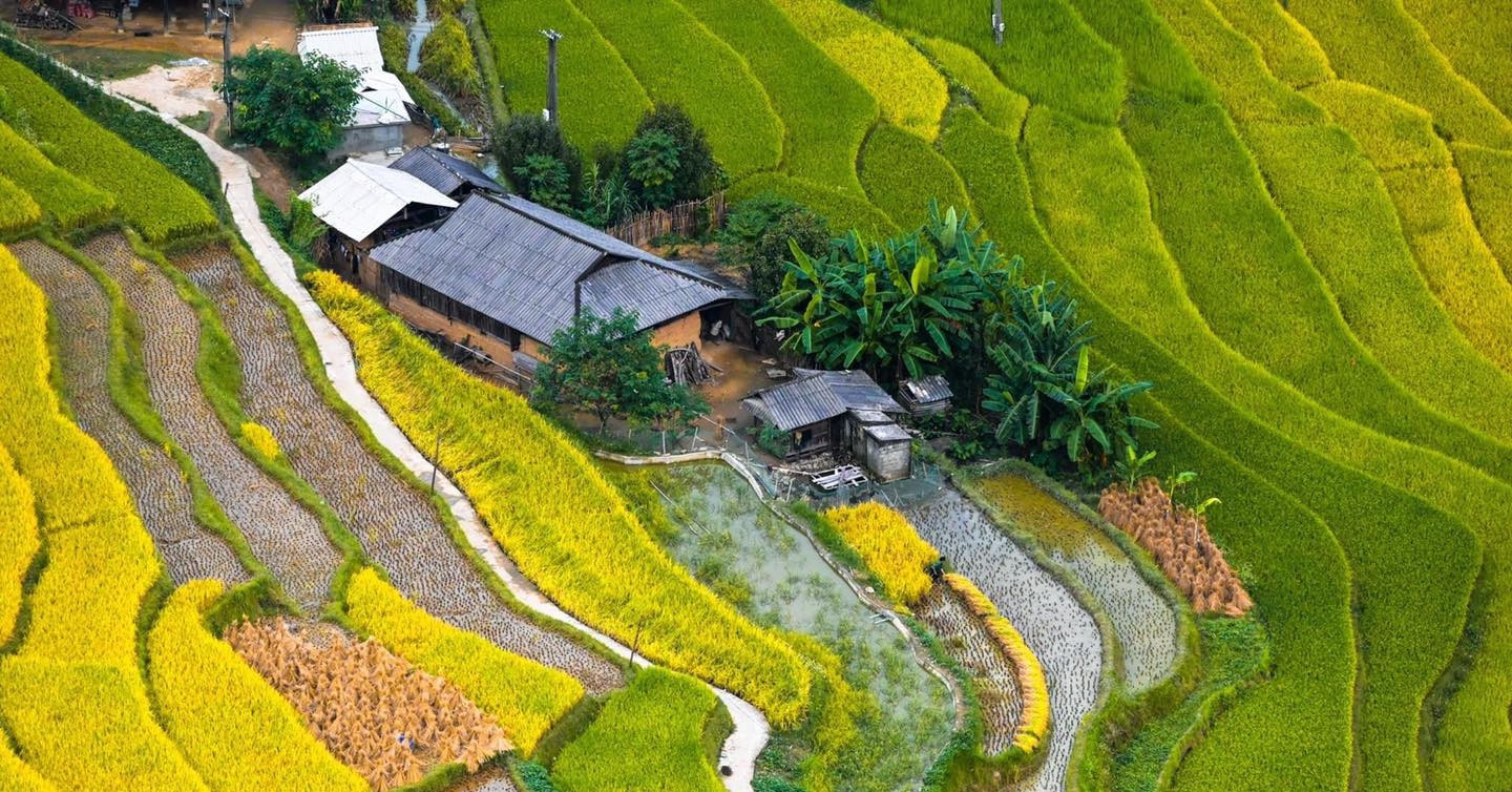 Ha Giang promotes agricultural tourism to help ethnic minorities increase income