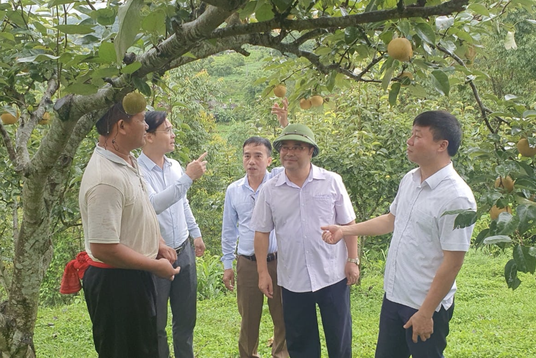 Hội Nông dân Lai Châu tích cực, sáng tạo xây dựng nông thôn mới