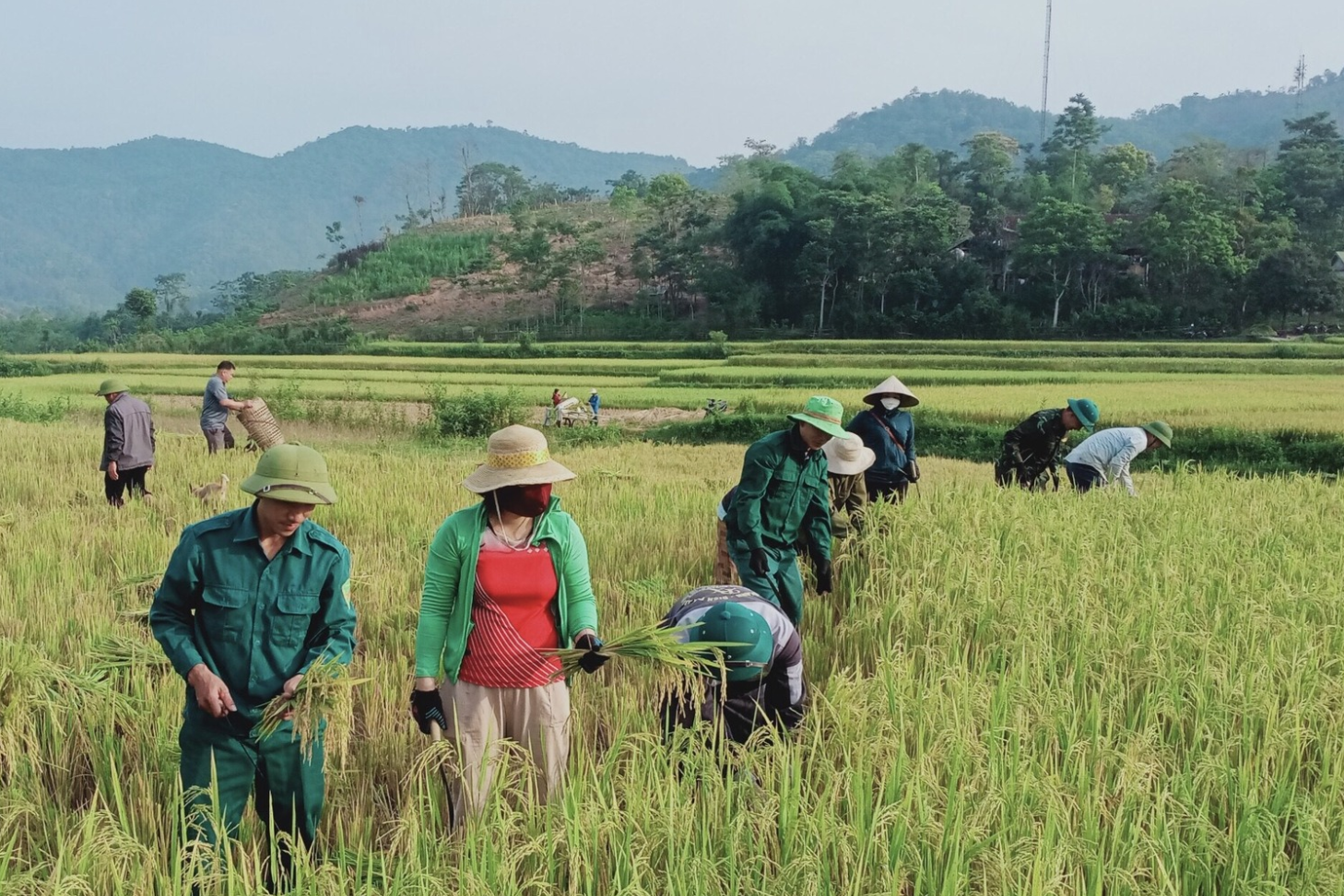 Nghệ An kiểm tra, đánh giá việc thực hiện Chương trình xây dựng nông thôn mới