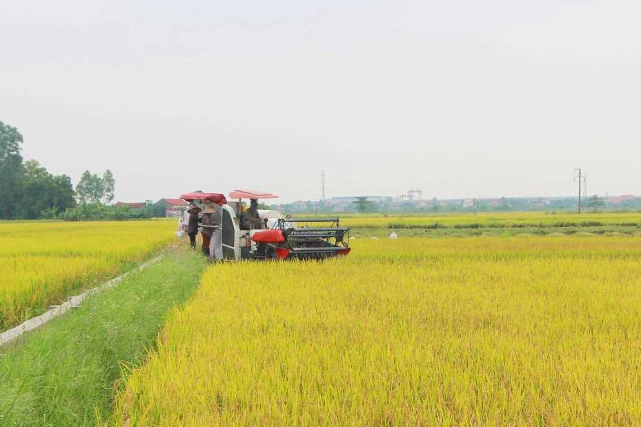 Những nông dân ‘công nghệ’ ở Quảng Ninh