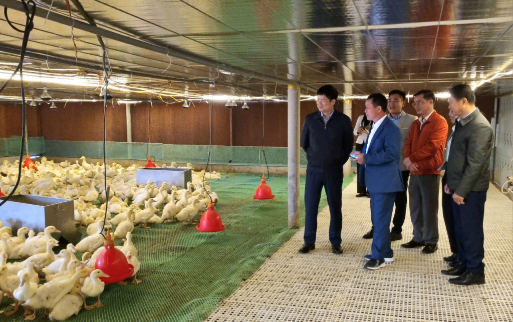 quang ninh nong dan so.jpg