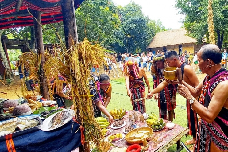 The new rice ritual of the Co Tu