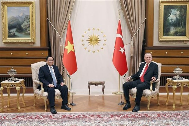 Vietnam, Turkiye issue joint statement on future cooperation hinh anh 1