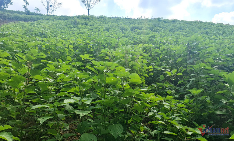 w b4hhhhhhhhhhhhh 1089.jpg