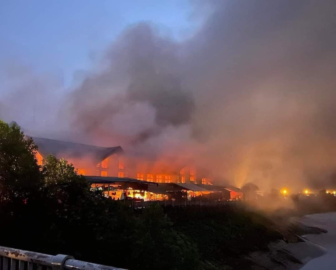 z4937776332142 28bdbcd4f3be56c318735fdabac2c9bb.jpg