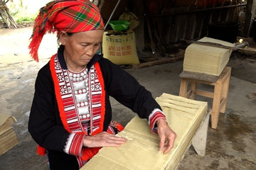 Bảo tồn nghề làm giấy bản của đồng bào dân tộc Dao ở Hà Giang