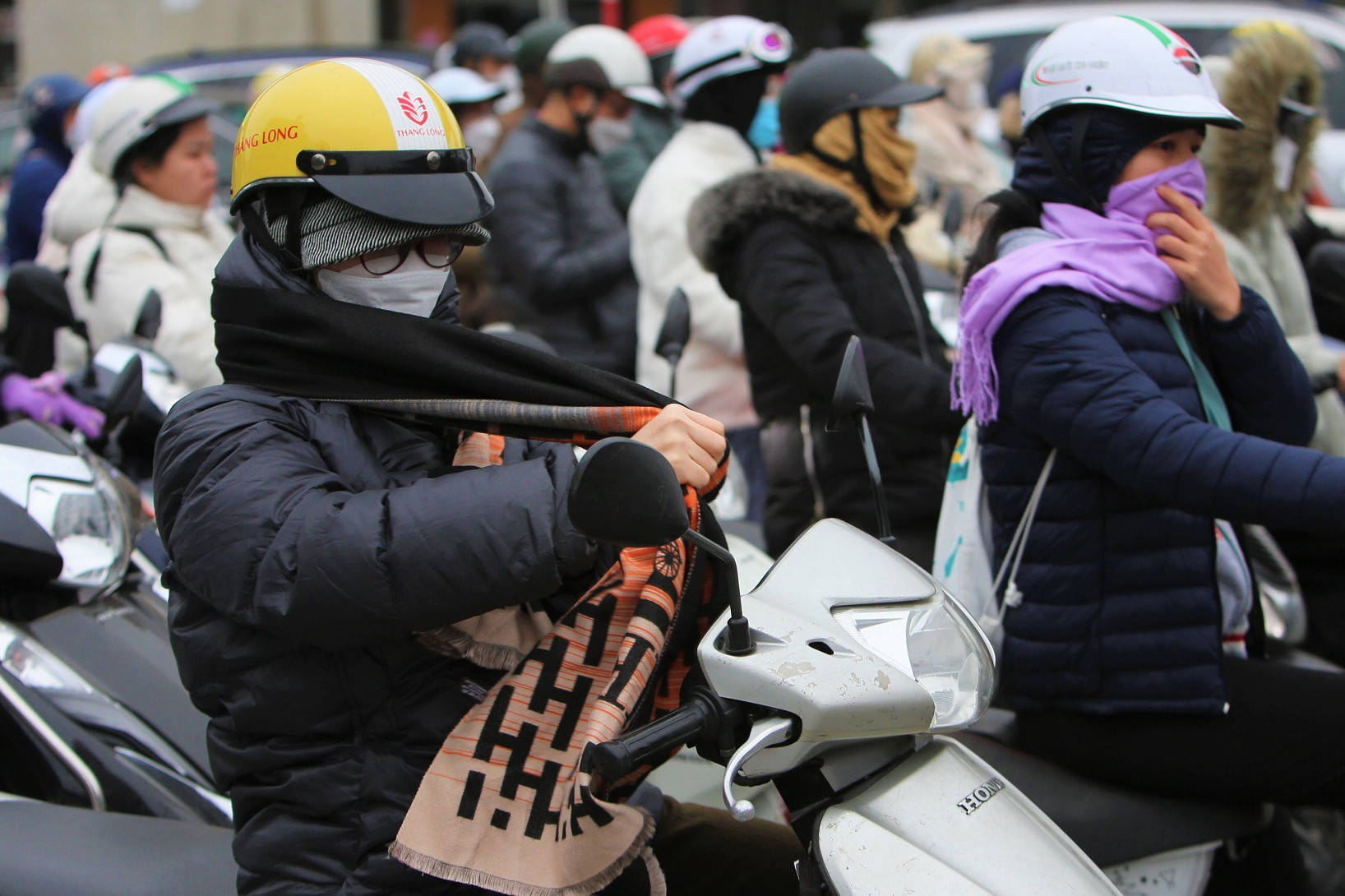 gia ret ngay can tet d hieu 1 569.jpeg