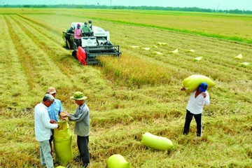 Nâng cao năng lực thích ứng với biến đổi khí hậu của hợp tác xã nông nghiệp