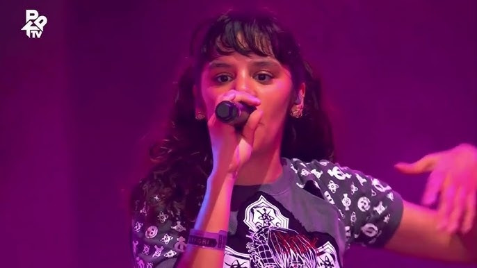 renowned belgian singer to perform in vietnam picture 1