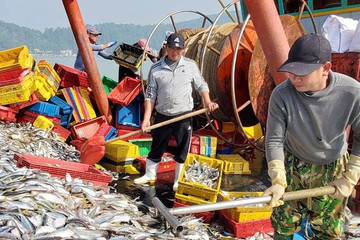 Việt Nam - Pháp khảo sát khoa học chung nhằm phát triển kinh tế biển