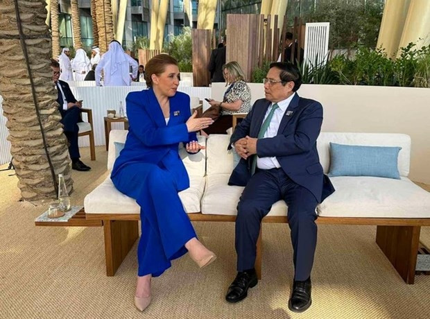 what vietnam and denmark can take away from cop28 picture 2