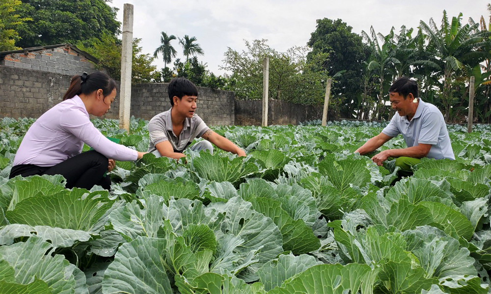 Bản tin sáng 6/12: Lý do bố ở Thanh Hóa chấp nhận cho con trai duy nhất đi tù