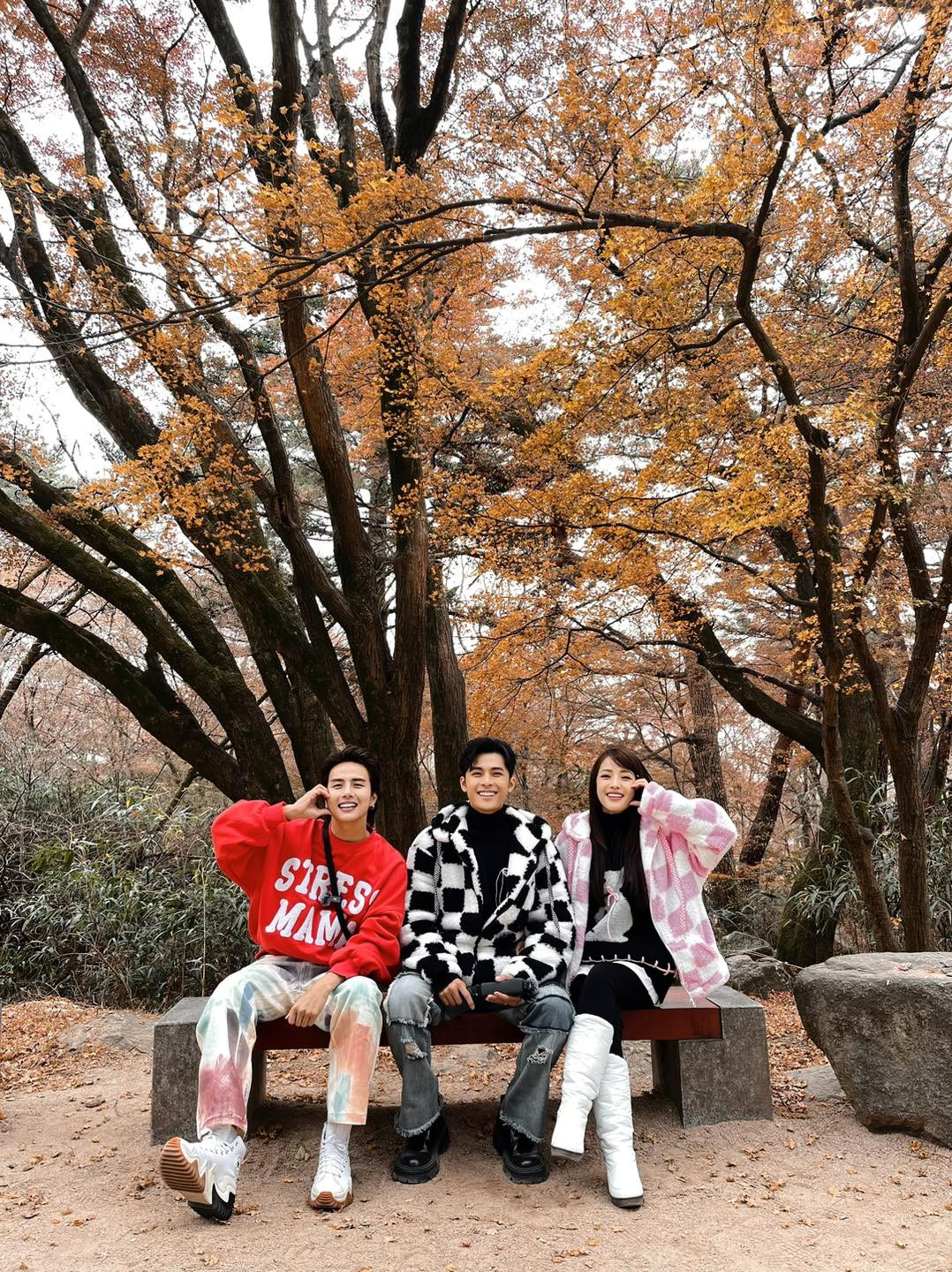 405444460 925604832263796 2073919161123383282 n.jpg