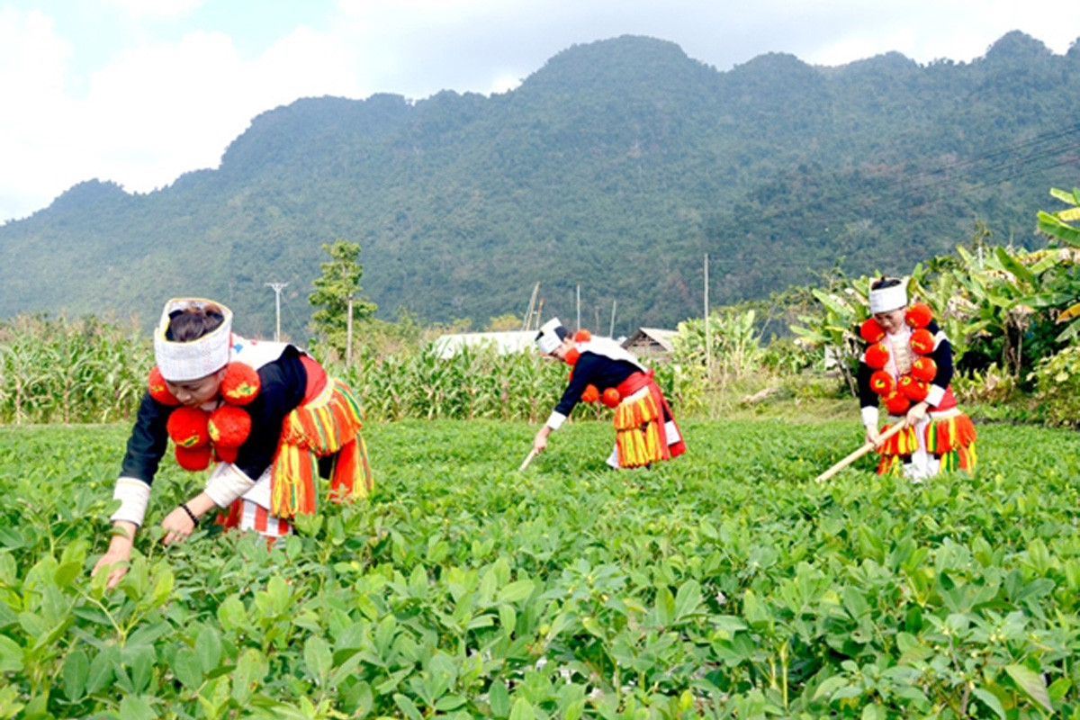 Chỉ đạo xây dựng nông thôn mới tại 7 xã miền núi của huyện Ba Vì, Hà Nội