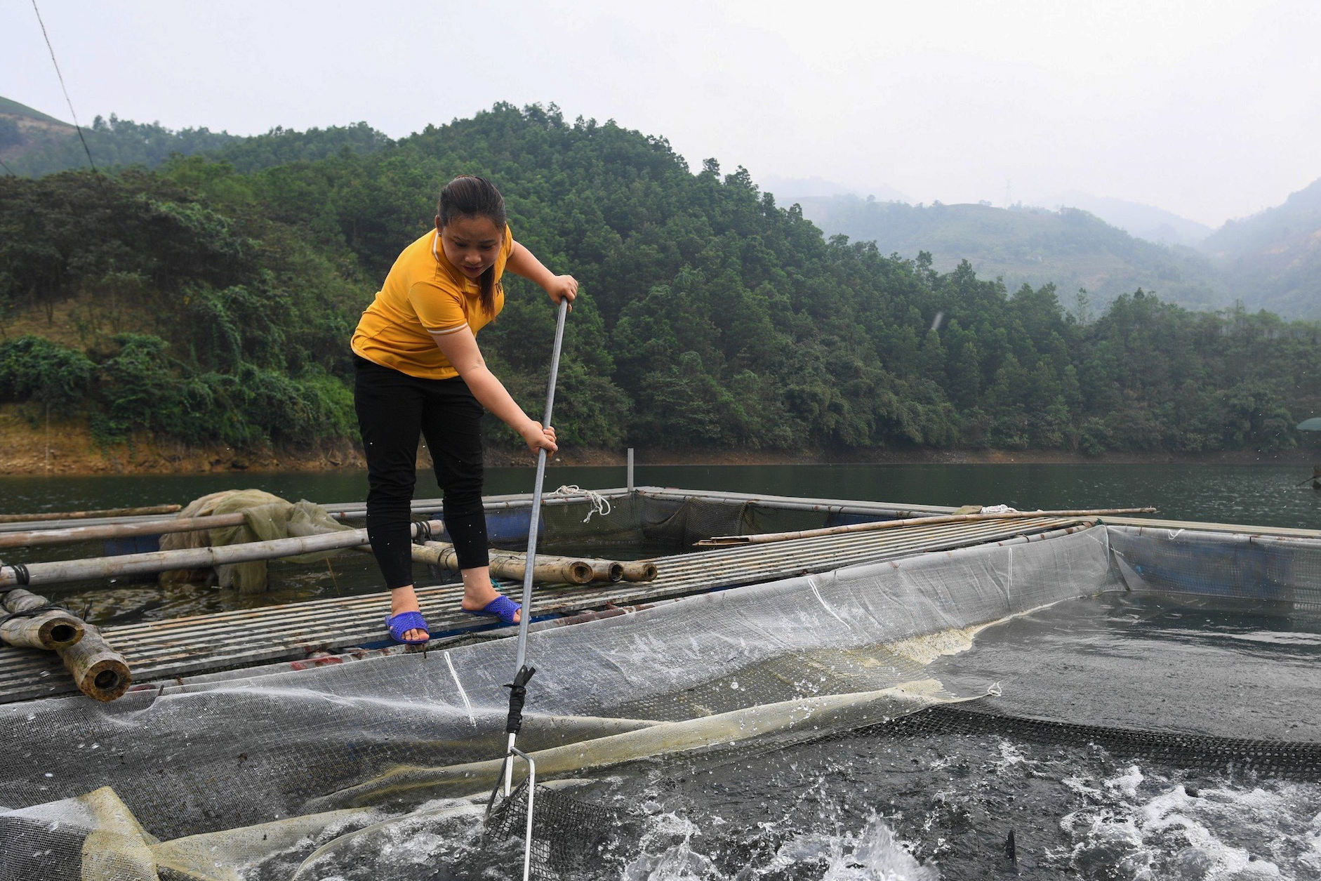 Hội Nông dân Quang Bình vận động nông dân tham gia hợp tác xã