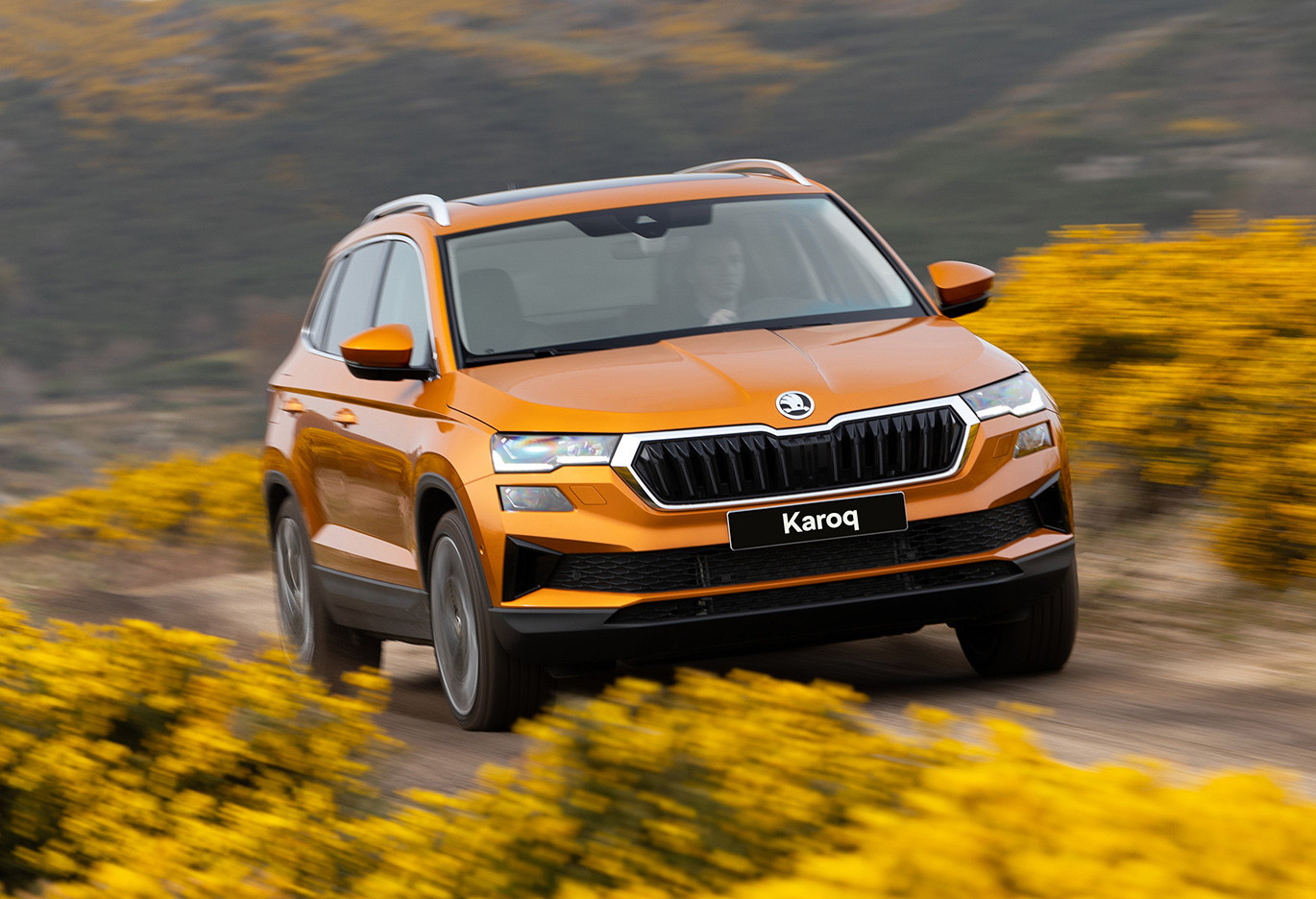 karoq 1.jpeg