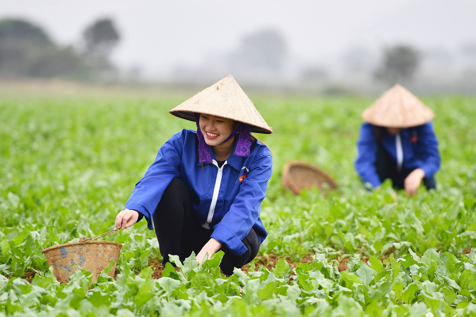 Khát khao thay đổi nông nghiệp, nông dân và nông thôn thời kỳ mới