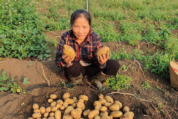 Sơn La: Hỗ trợ đồng bào dân tộc thiểu số vay vốn, tạo việc làm