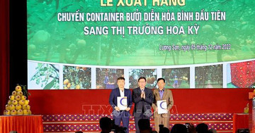 Vietnam's first batch of “Dien” pomelos exported to U.S.