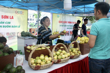 Sơn La liên kết nông dân phát triển vùng trái cây đặc sản