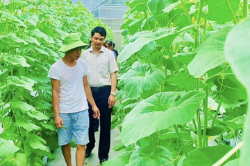 Giám sát thực hiện Chương trình xây dựng nông thôn mới tại tỉnh Ninh Bình