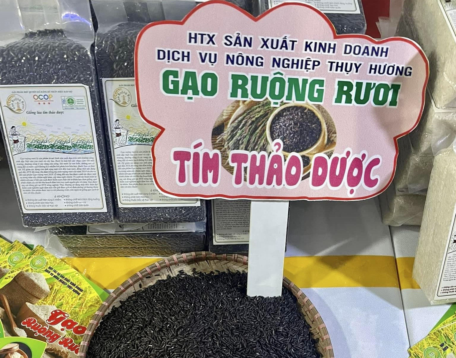 HTX Hải Phòng.jpg