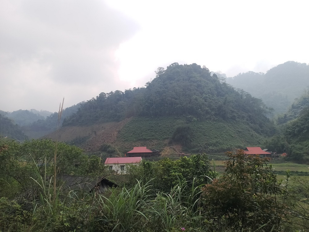 img 20230406 101926.jpg