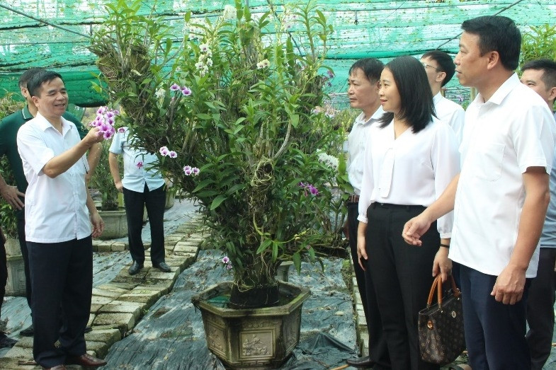 Thẩm tra, đánh giá kết quả xây dựng nông thôn mới ở Đại Từ (Thái Nguyên)
