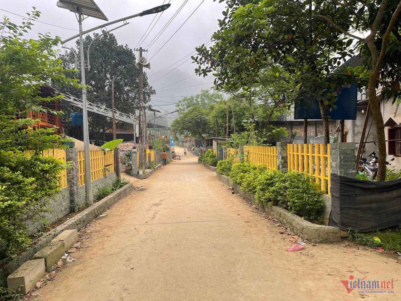 w ban coi 1 1 844.jpg