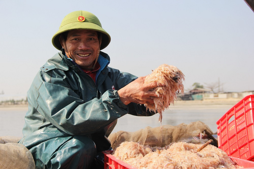 Ra khơi săn ruốc từ 3h sáng, ngư dân kiếm tiền triệu trong ngày