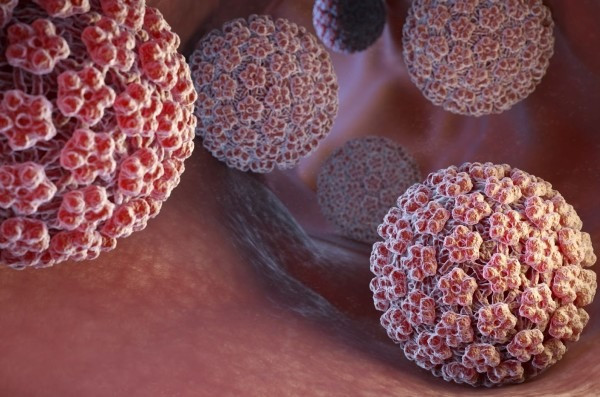 Loại virus làm tăng nguy cơ mắc ung thư dương vật