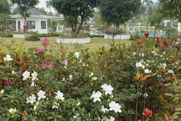 Quà tặng ngày Valentine trắng ý nghĩa dành cho bạn gái