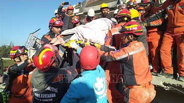 Vietnamese embassy joins search, rescue activities in Turkey