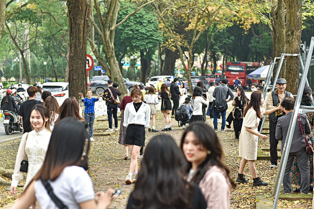 Người Hà Nội đổ về con đường lá vàng đang 'hot rần rần', say sưa tạo dáng chụp ảnh