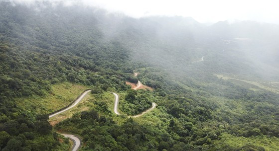 First community forest in Vietnam to be granted international certificate  ảnh 6