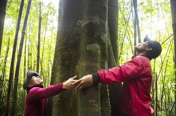 First community forest in Vietnam to be granted international certificate