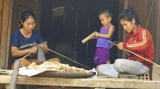 First community forest in Vietnam to be granted international certificate  ảnh 4