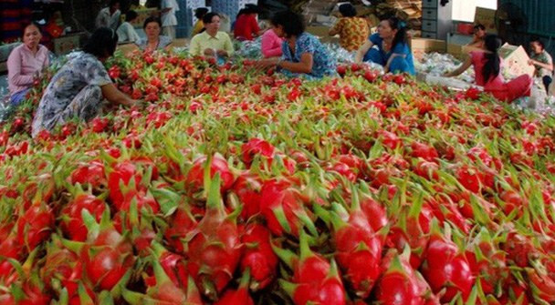 Nỗ lực thực thi UKVFTA hiệu quả nhất, đầy đủ nhất