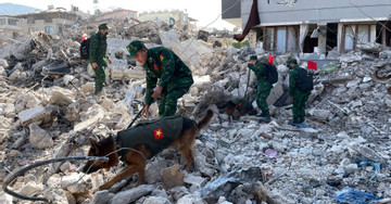 Chó nghiệp vụ của Việt Nam lùng sục giữa đống đổ nát tìm nạn nhân ở Thổ Nhĩ Kỳ