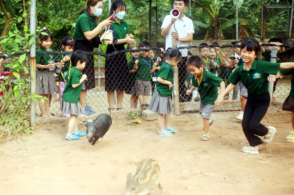 Experiential schooling, a brand new pattern in Hanoi