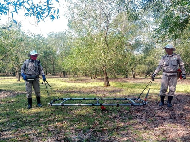 Nearly 300 war-time explosives found in Quang Tri