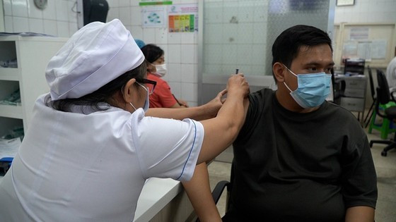 Vietnam still has deaths from rabies  ảnh 1