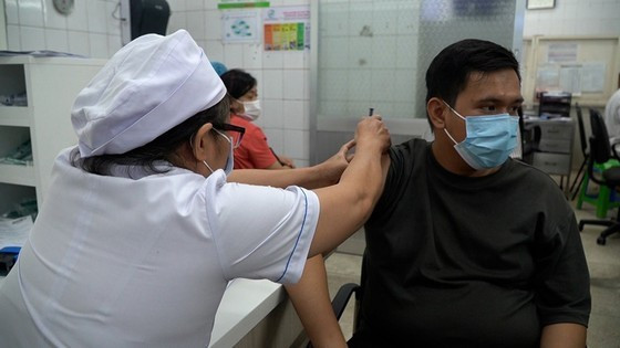 Vietnam still has deaths from rabies ảnh 1