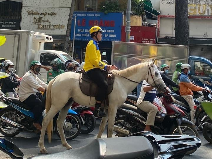 Xử phạt người mặc áo tài xế công nghệ cưỡi ngựa đi khắp trung tâm TP.HCM
